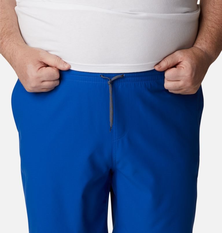 Men's Columbia Summertide Stretch Shorts Blue | Plus Size CA-A04L6